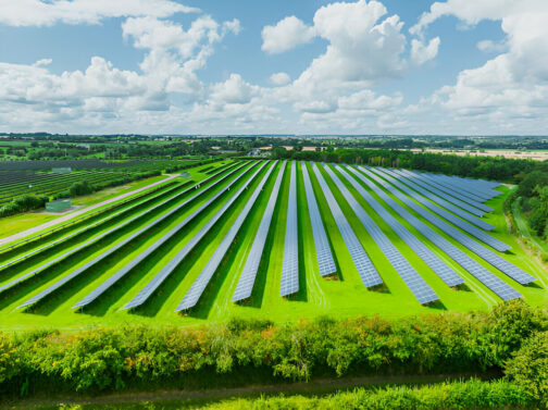 Field Solar panels